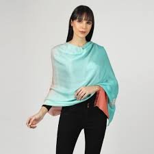 Silk Pashmina Shawls